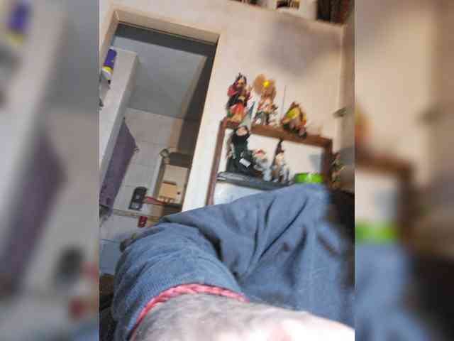Leoncarpita webcam