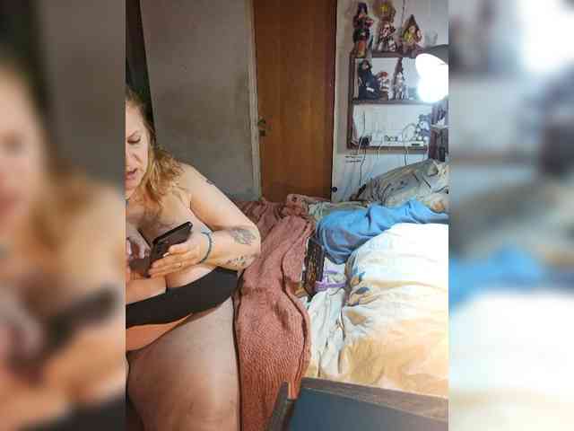 Leoncarpita webcam
