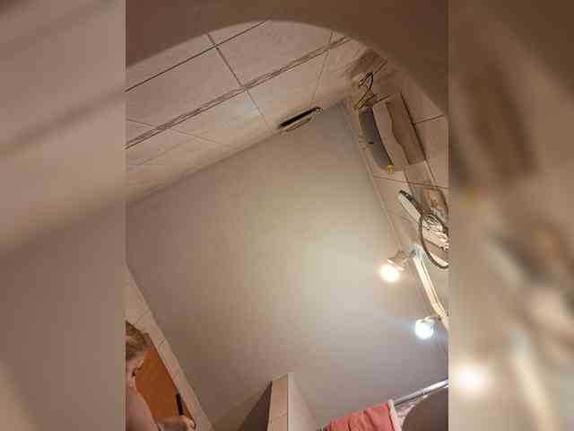 Leoncarpita webcam