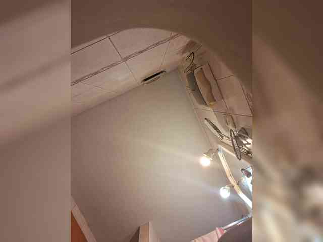 Leoncarpita webcam