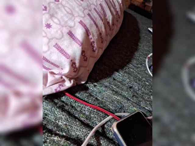 Leoncarpita bongacams