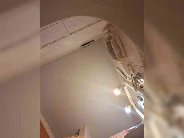 Leoncarpita webcam