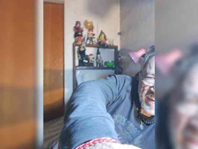 Leoncarpita webcam