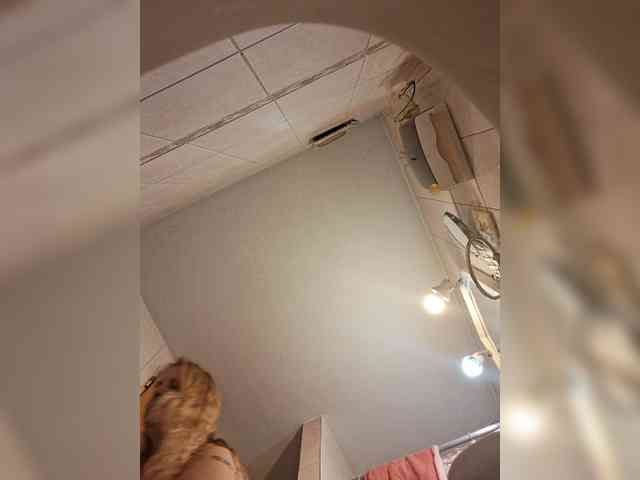 Leoncarpita webcam
