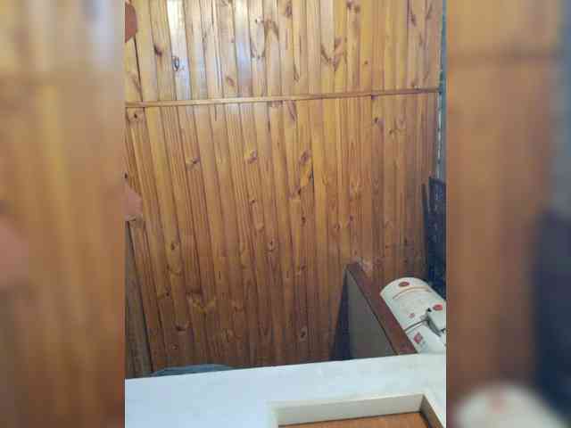 Leoncarpita webcam