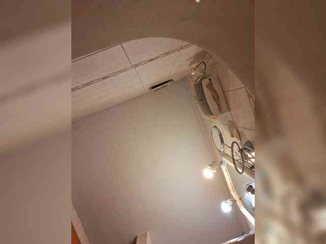Leoncarpita webcam