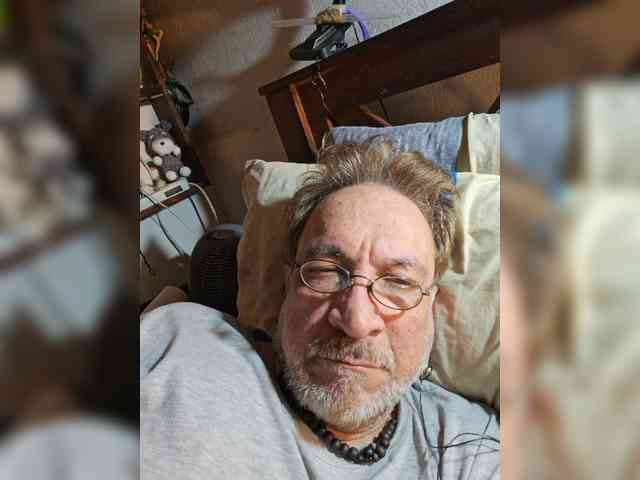 Leoncarpita webcam