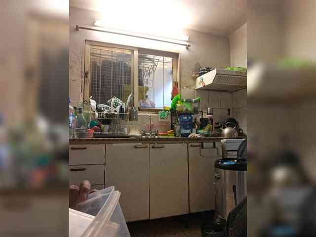 Leoncarpita webcam
