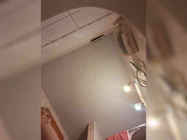 Leoncarpita webcam
