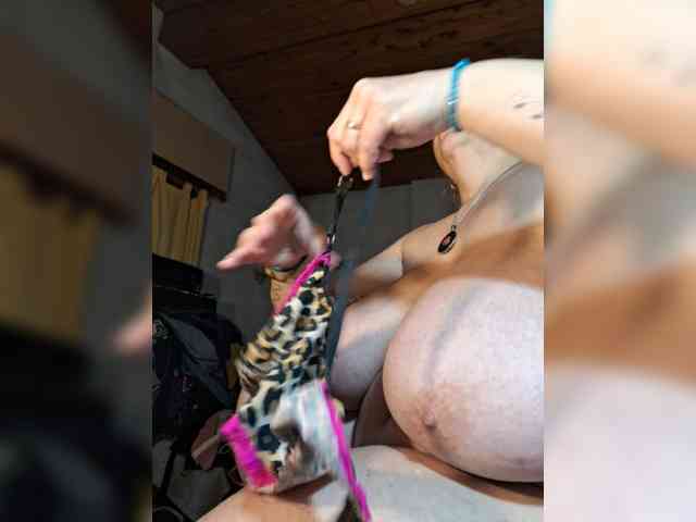 Leoncarpita webcam