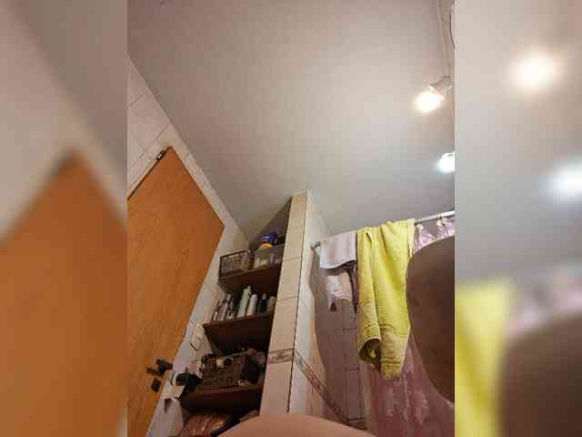 Leoncarpita webcam