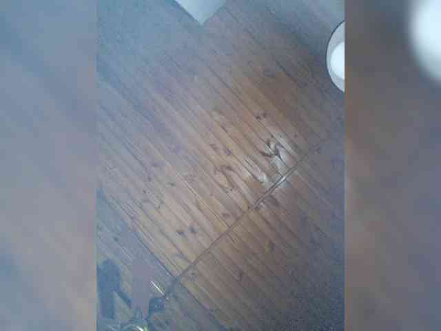 Leoncarpita webcam