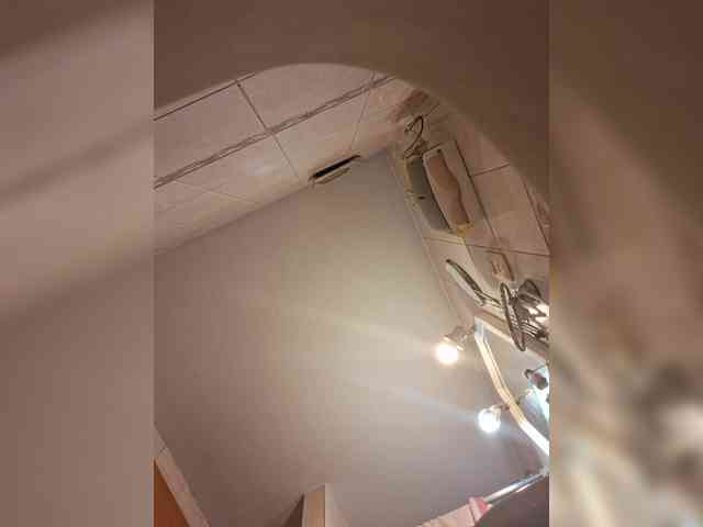 Leoncarpita webcam