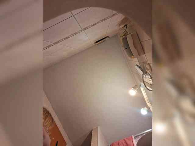 Leoncarpita webcam