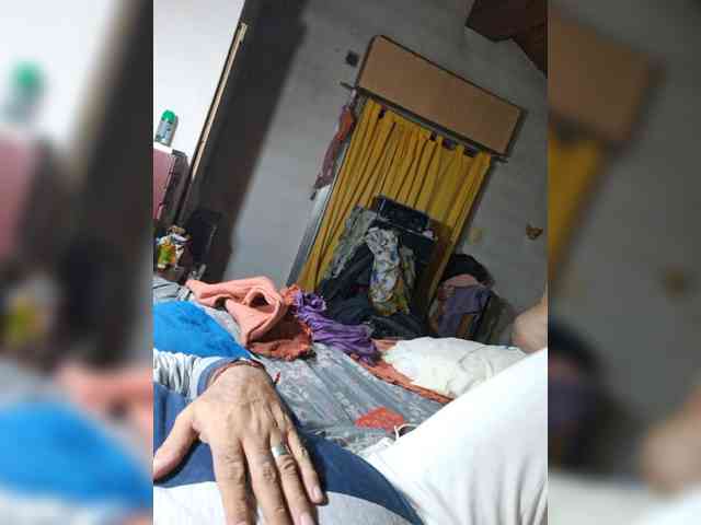 Leoncarpita webcam