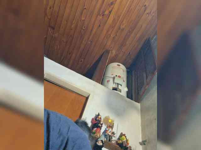 Leoncarpita webcam
