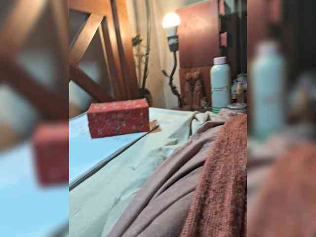 Leoncarpita webcam