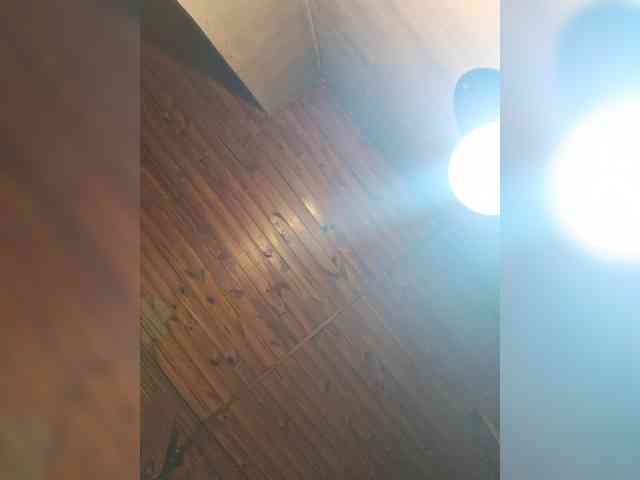 Leoncarpita webcam