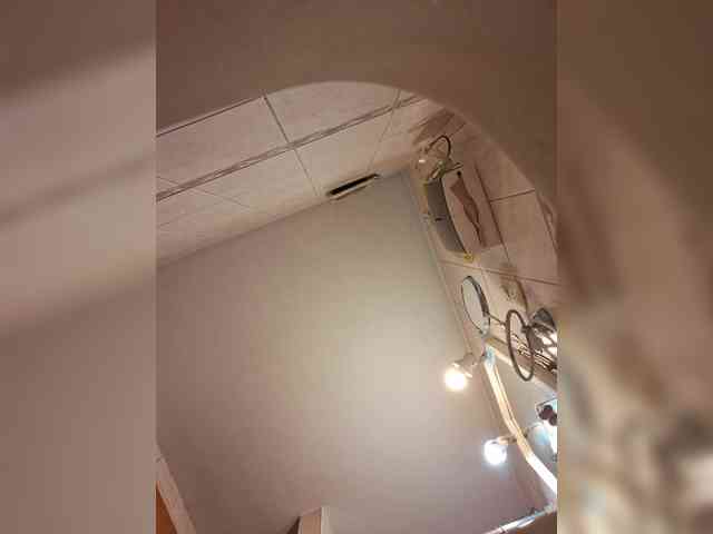 Leoncarpita webcam