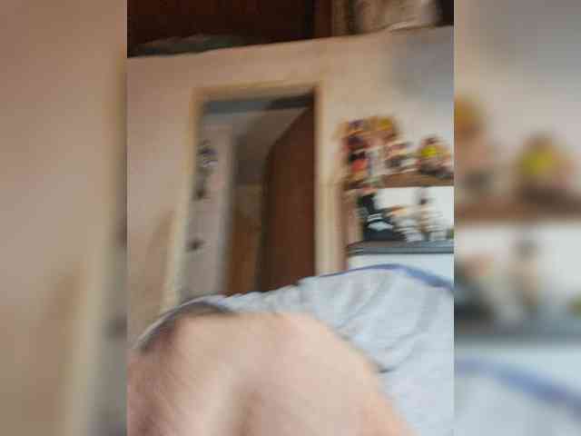 Leoncarpita webcam
