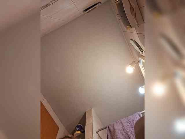 Leoncarpita webcam
