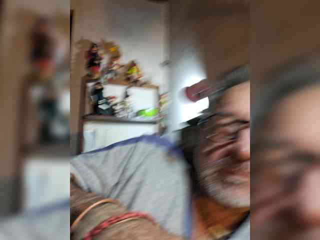 Leoncarpita webcam