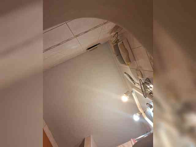 Leoncarpita webcam