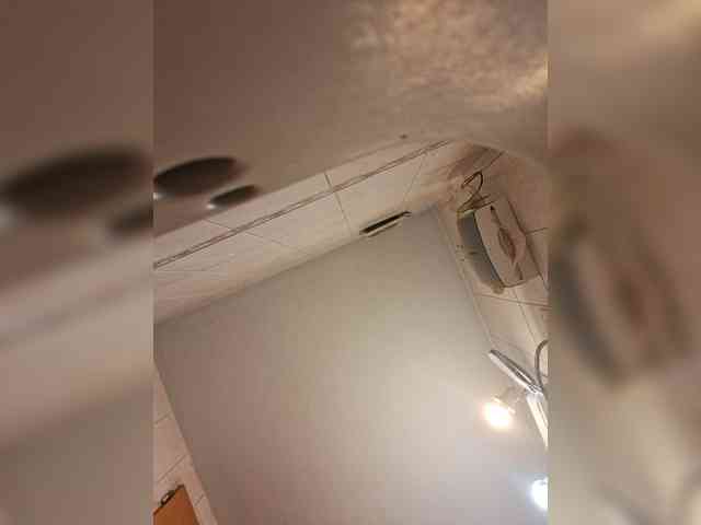 Leoncarpita's cam show statistics and live stream