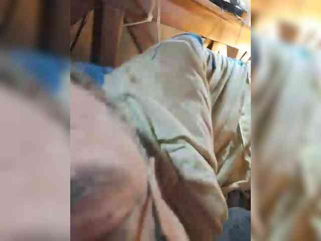 Leoncarpita webcam