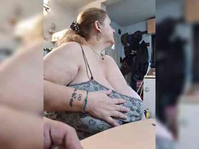 Leoncarpita webcam