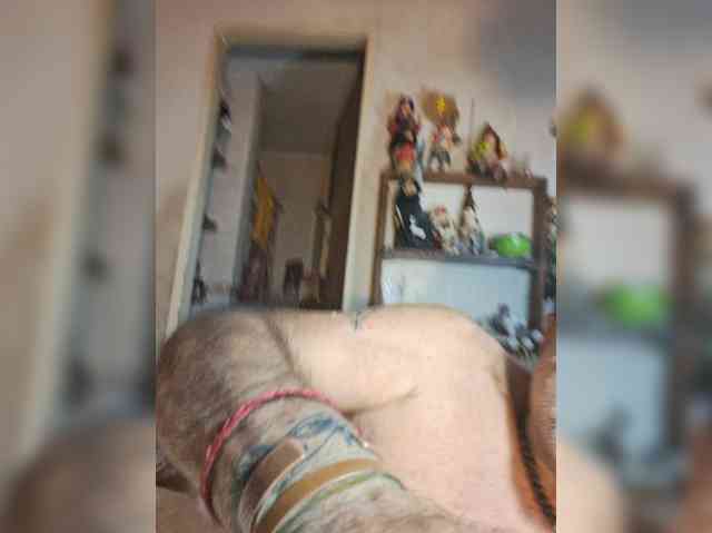 Leoncarpita