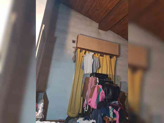 Leoncarpita webcam