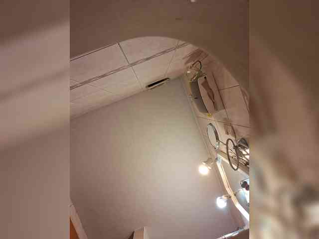 Leoncarpita webcam