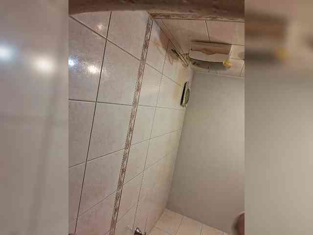 Leoncarpita webcam