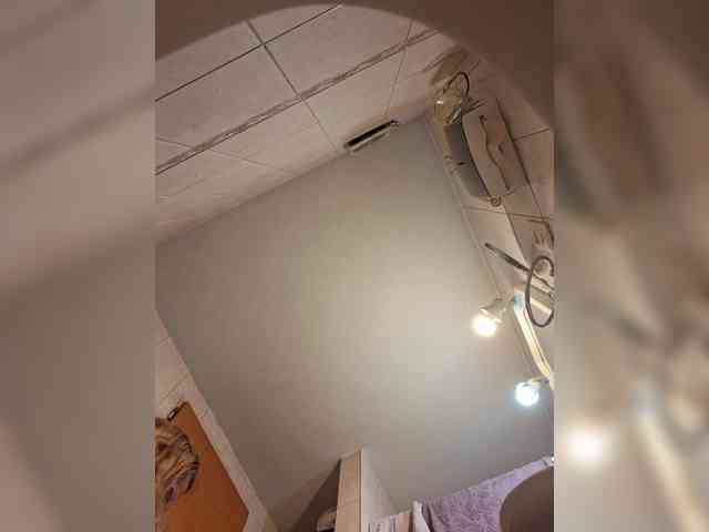 Leoncarpita webcam