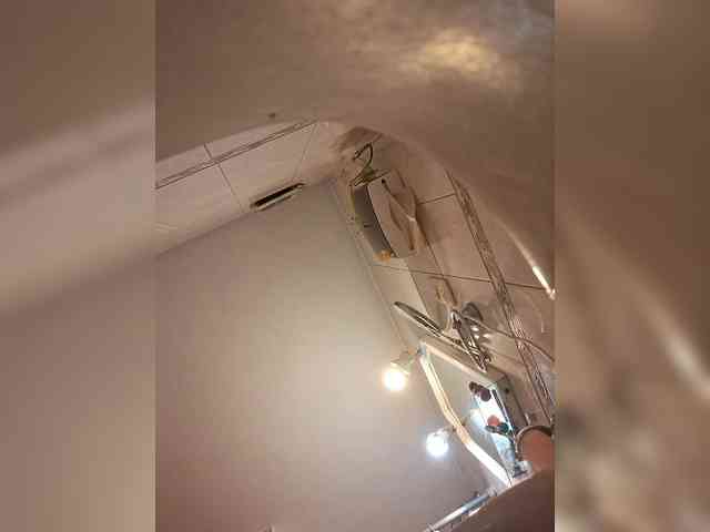 Leoncarpita webcam