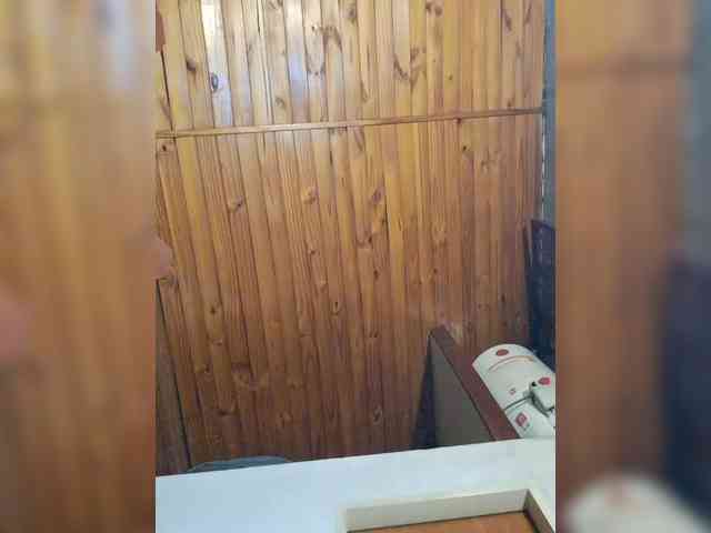 Leoncarpita webcam