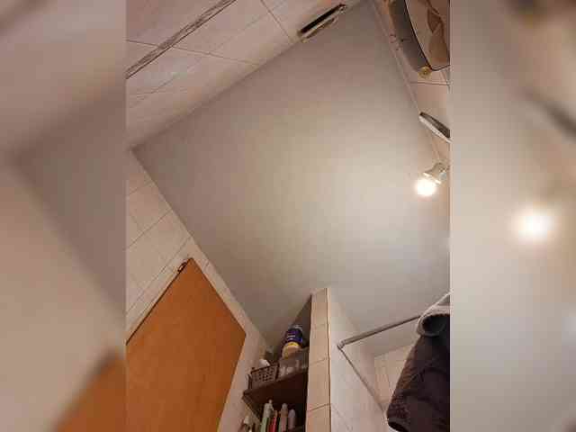 Leoncarpita webcam