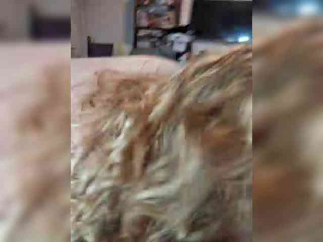 Leoncarpita's cam show statistics and live stream