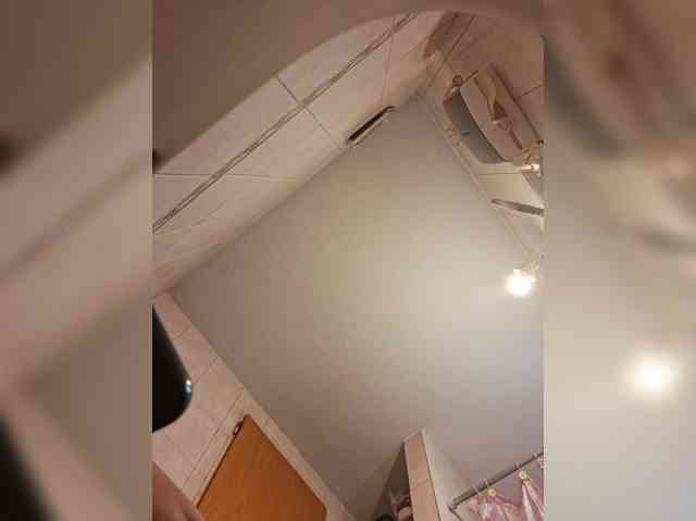 Leoncarpita webcam