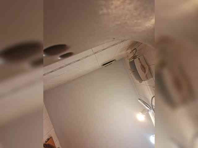 Leoncarpita webcam