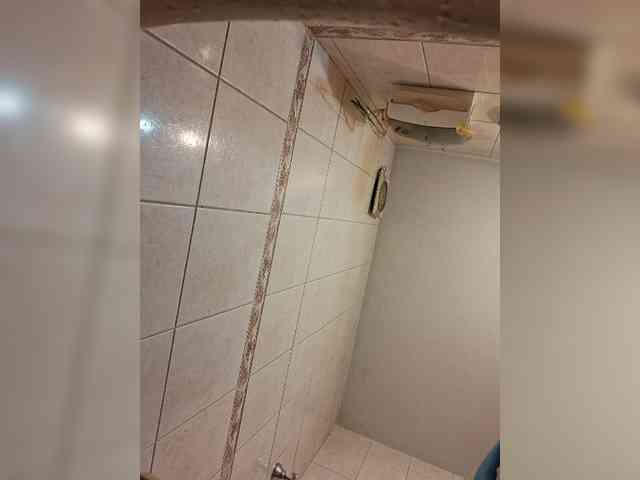 Leoncarpita webcam