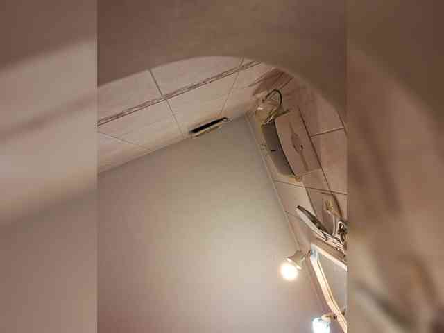 Leoncarpita webcam