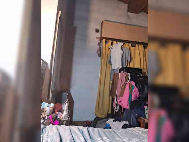 Leoncarpita webcam