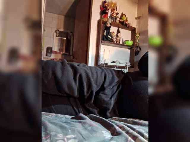 Leoncarpita webcam