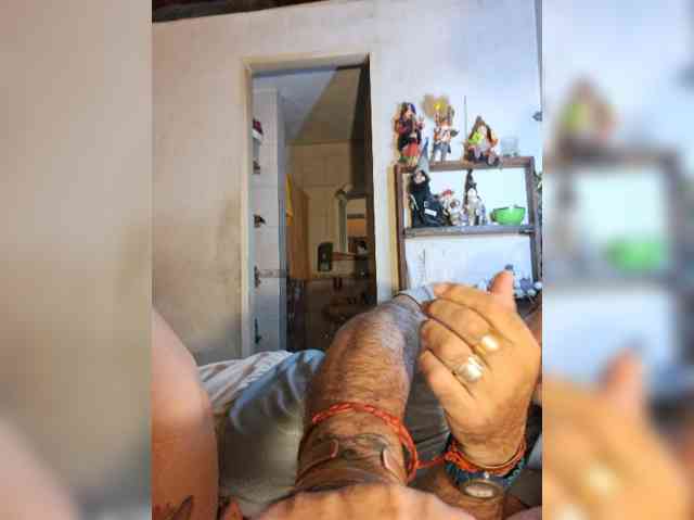 Leoncarpita webcam