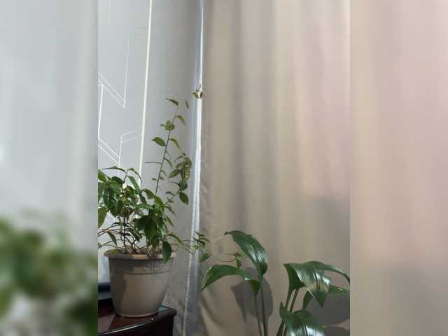  Danozka chat room