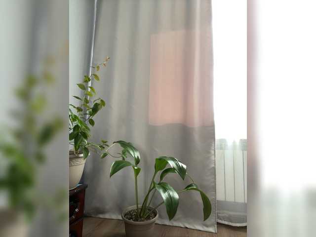 Danozka