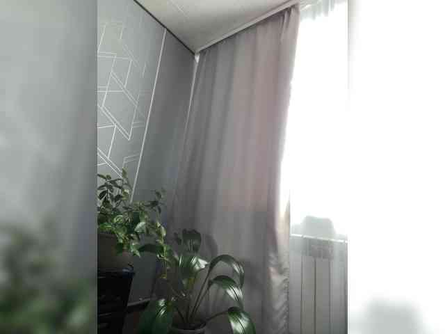 Danozka webcam