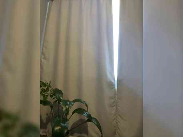 Danozka webcam
